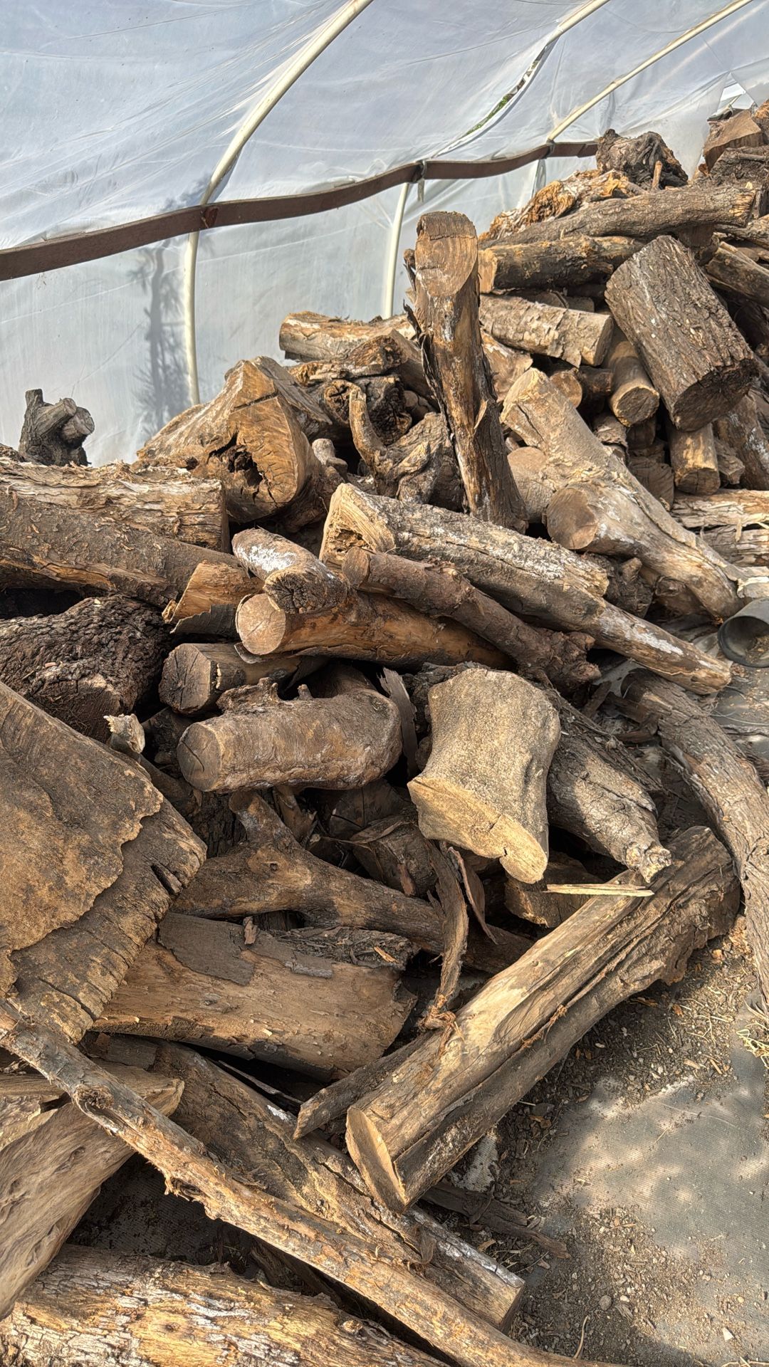 Dry Firewood