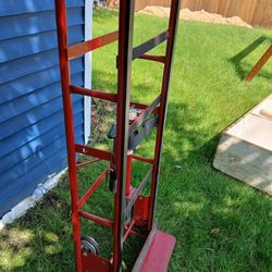 Brand New Dolly 