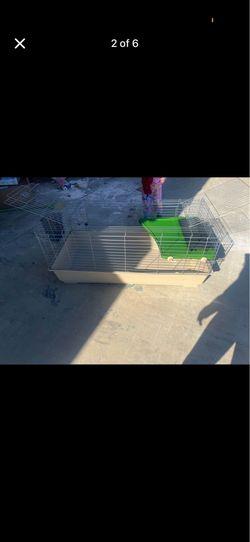 Small animal cage