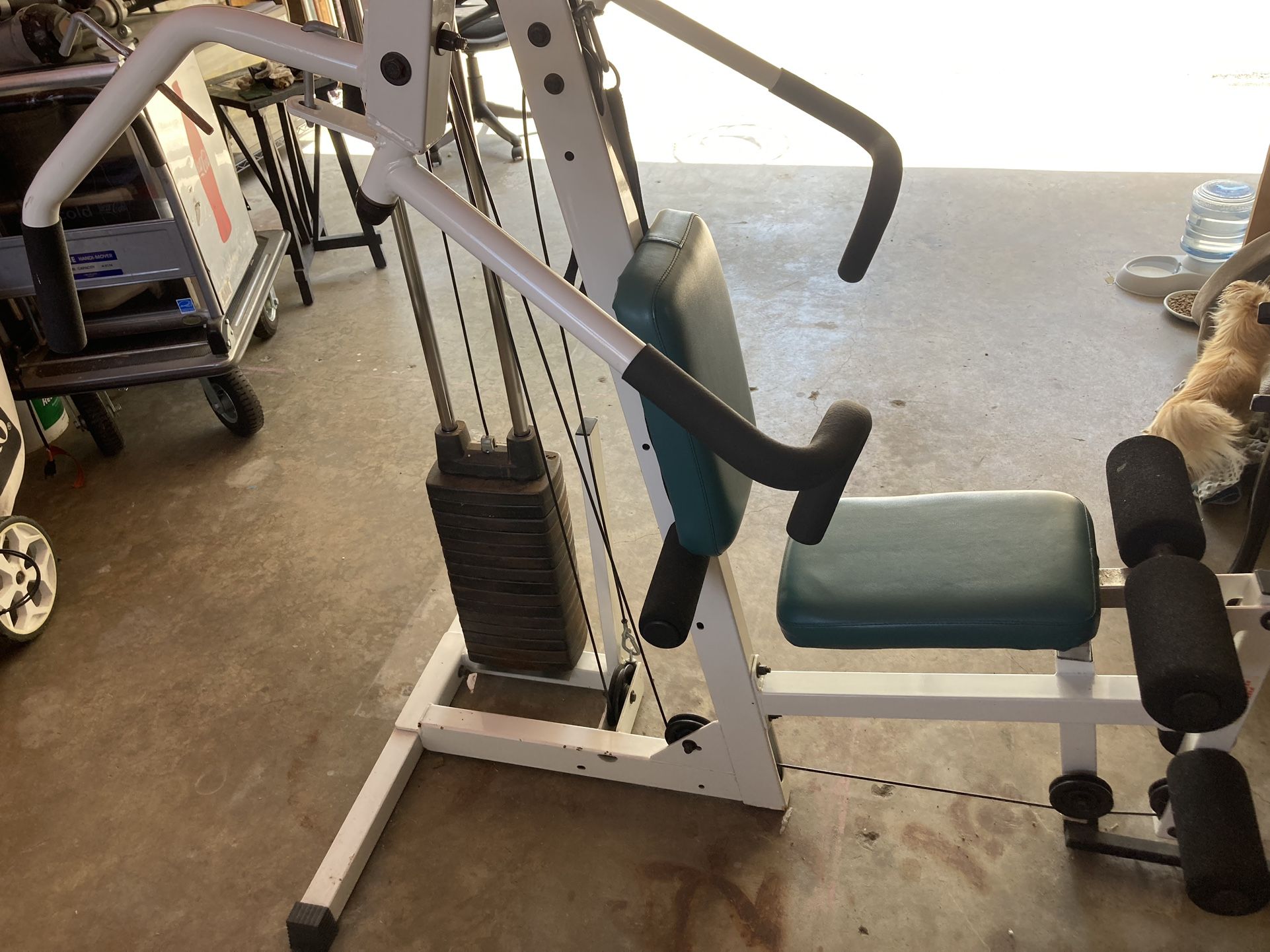 Pacific fitness zuma for sale hotsell