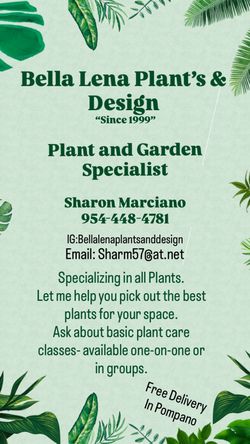 Indoor Plants
