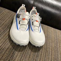 Size 12  BIOM G5 Performance Golf ecco Shoes NEW.