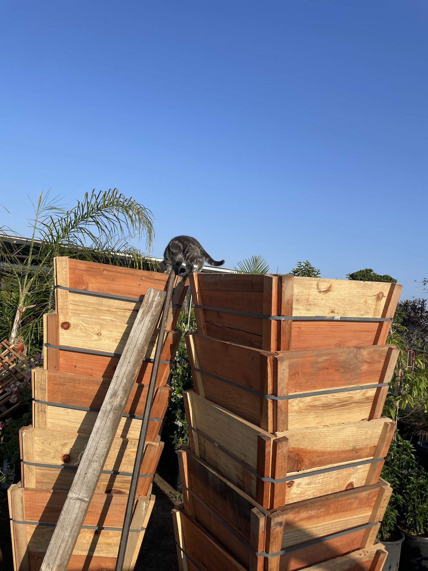 Cajas De Madera Para Poner Plantas 24 Galones $23 cada uno