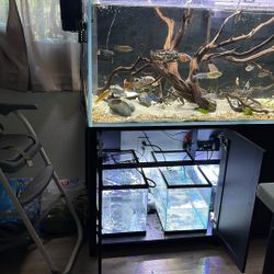 Fish Tank / Aquarium 