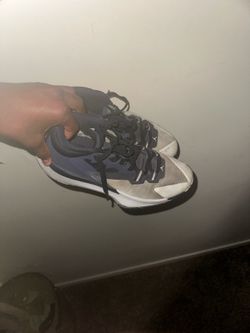 Zion Williamson basketball shoes