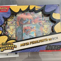 Mega Feraligatr ex box (Ascended heroes)