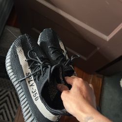 Oreo Yeezy 350