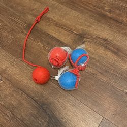Dog Balls And Leash 