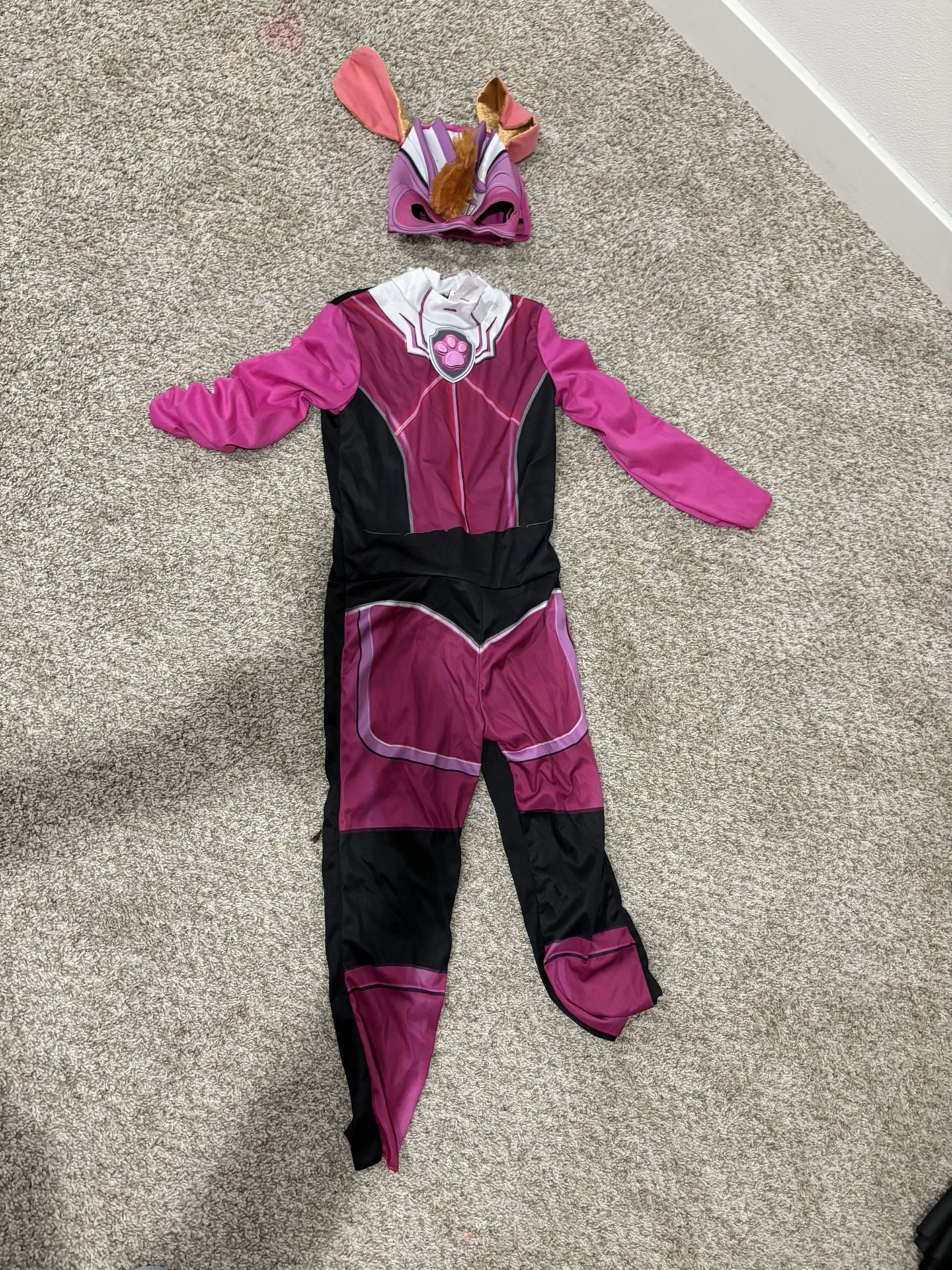 Paw Patrol sky Halloween Costume 6T