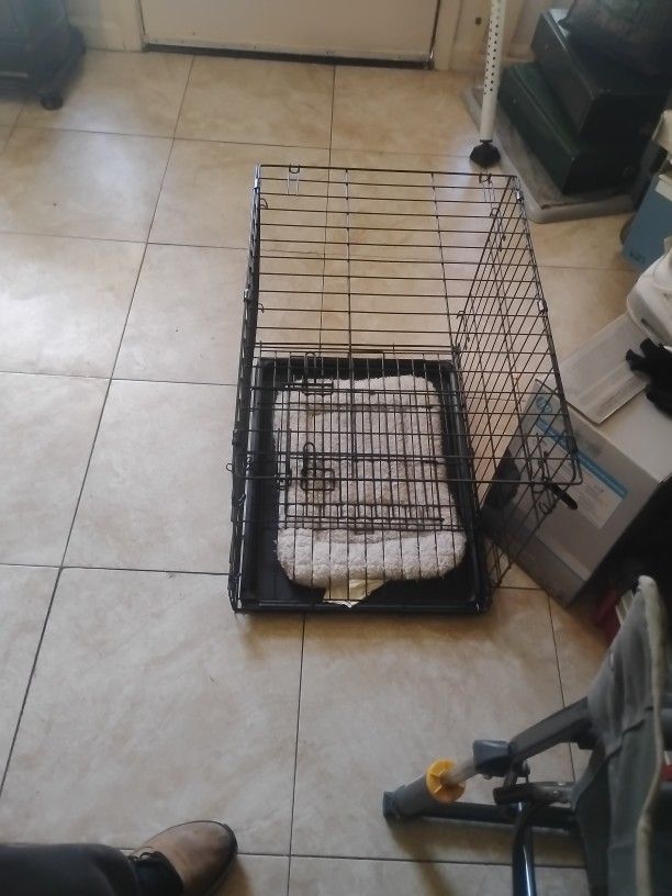 Dog Kennels