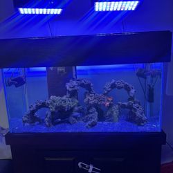 90 Gal Aquarium 