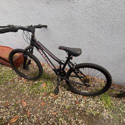 Women Mountain Bike 