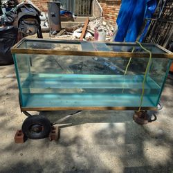 Fish Tank