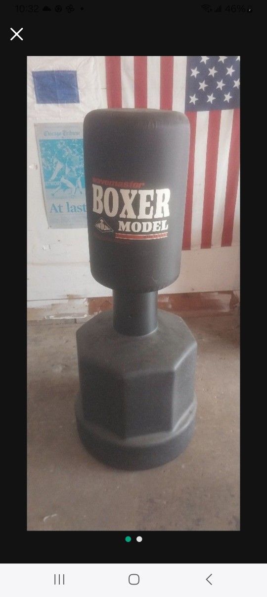 Boxing Boxer Great Condiction