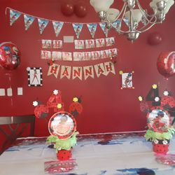 Miraculous Party Decor 