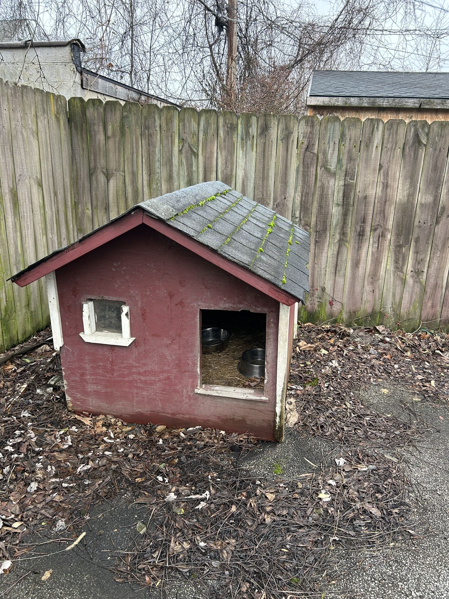 Dog House For Sale