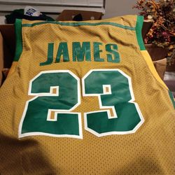 Lebron James  Notre Dame Jersey 
