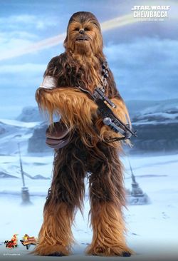 CHEWBACCA PICTURE