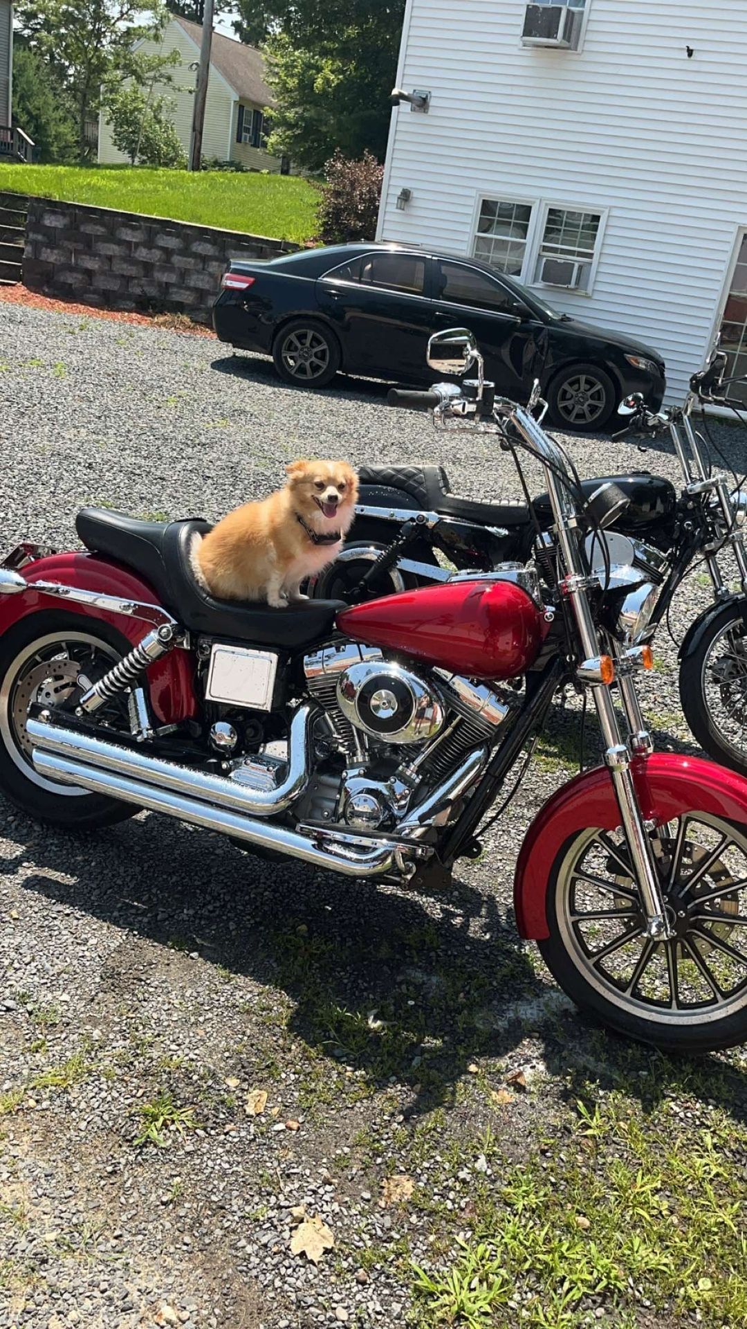 2002 Harley Davidson Dyna