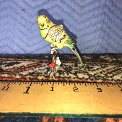 PARAKEET  ~ BEJEWELED TRINKET BOX  WITH AUSTRIAN CRYSTALS ~ 