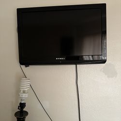 TV + Amazon Fire Stick 