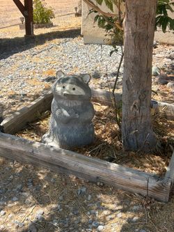 Cement Raccoon yard art