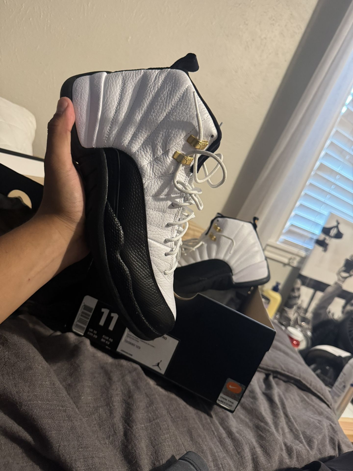 Air Jordan Taxi 12 2013