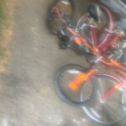 Kids 20 Inch Bicycle