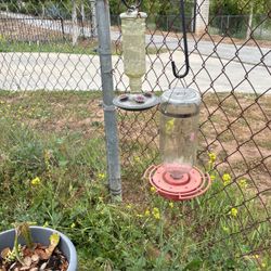 Hummingbird Feeder