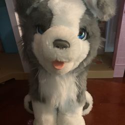 Puppy Plushie 