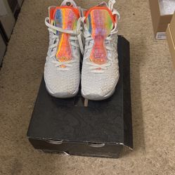 LeBron XVII Limited Edition 