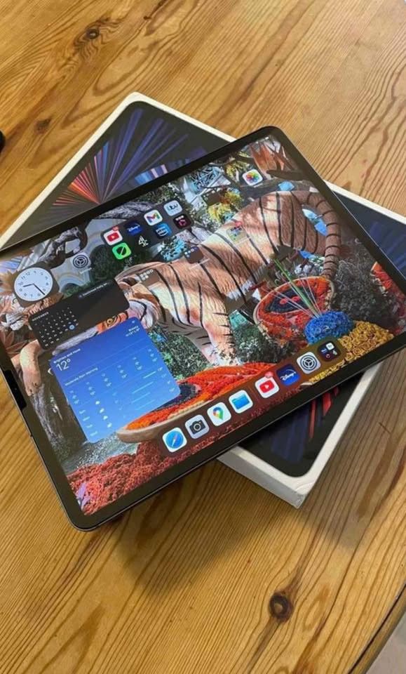 Apple IPad