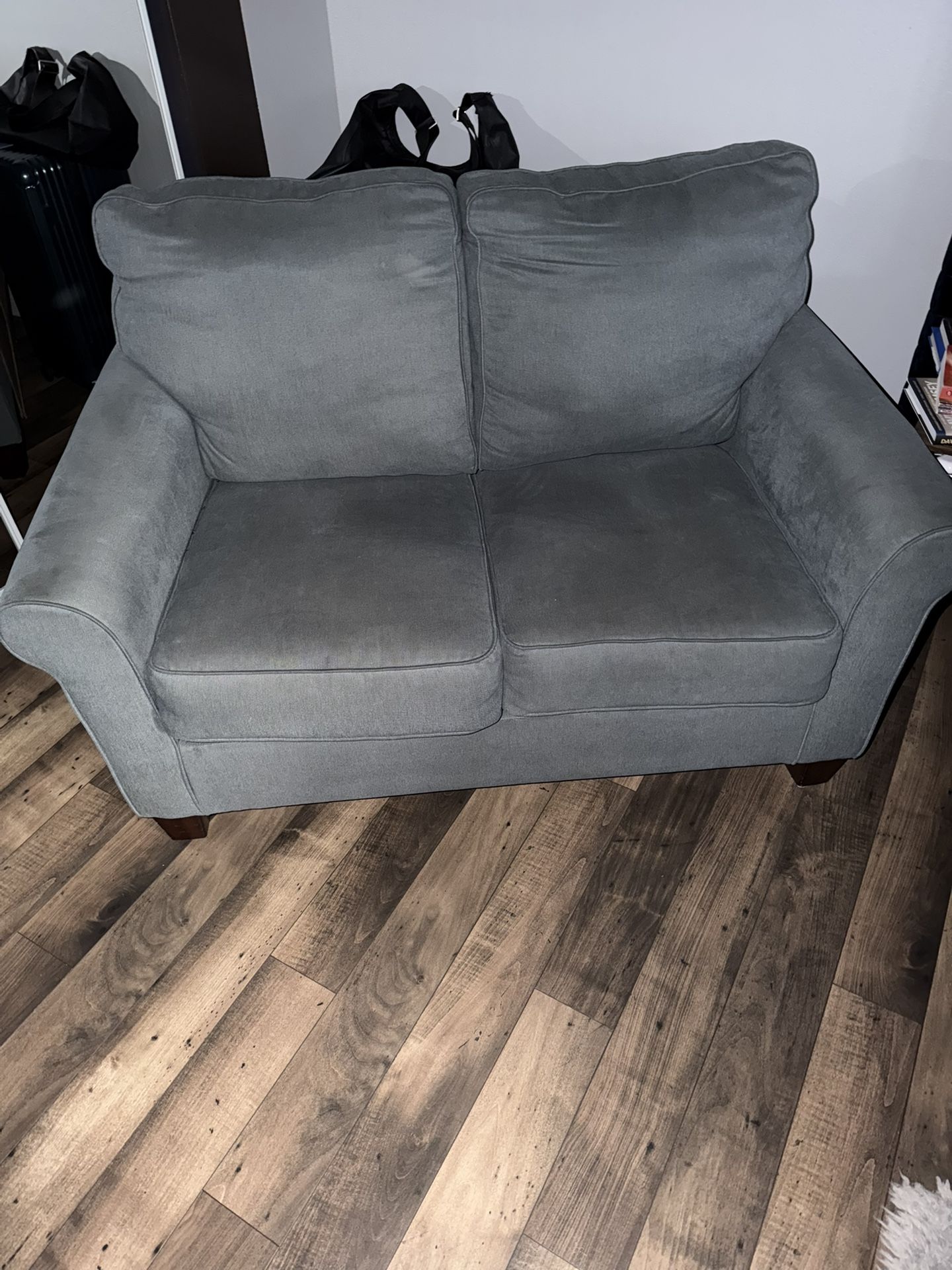 Loveseat Sleeper Sofa