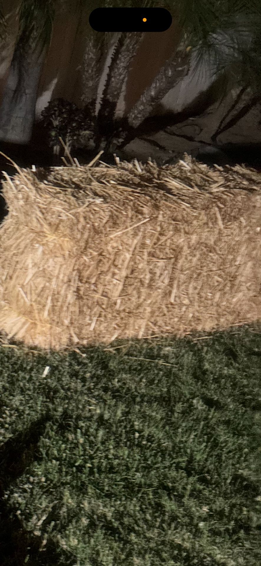 Hay Bells