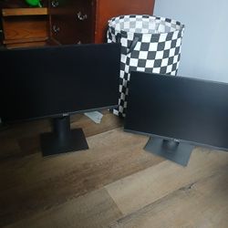 2 Dell Monitors 