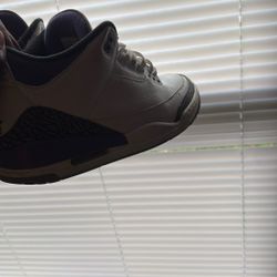 Jordan 3s Sz 11