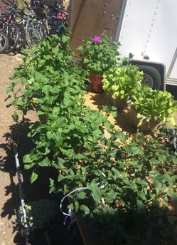 Garage sale