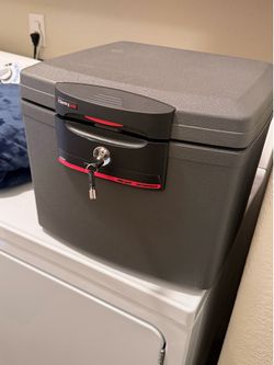 Safe- SentrySafe H4300 Fire-Safe Waterproof Security File, 0.7 Cubic Feet, Silver Gray
