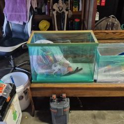 Aquariums 
