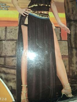 Belly dancing skirt