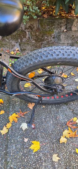 Ecotric Fat Tire Electric Bike