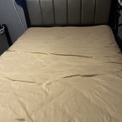 Two Queen Size Bed 