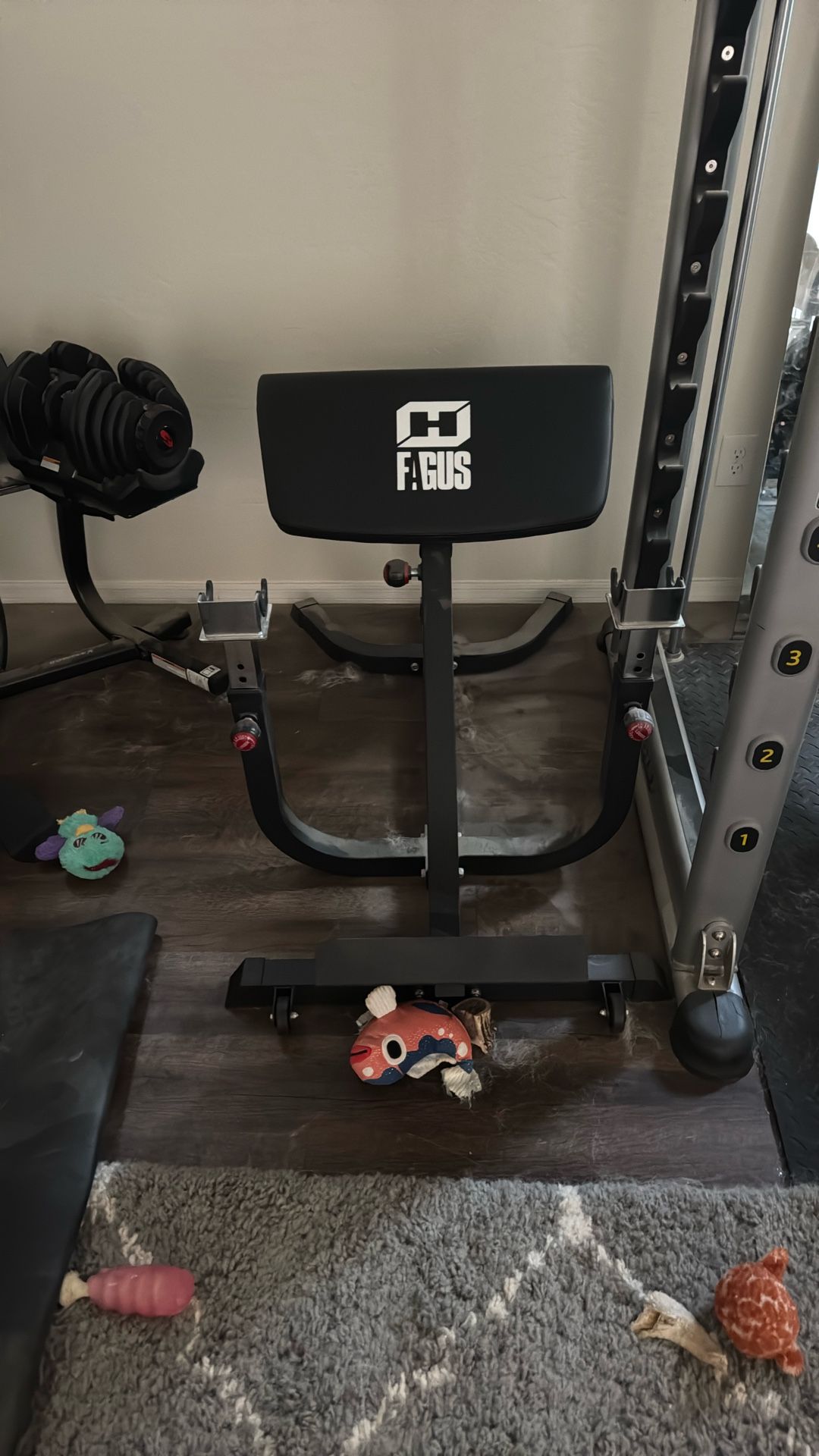 Arm Curl Gym Equipment