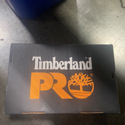 Timberland Steel Toe Shoes 
