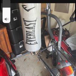 Punching Bag