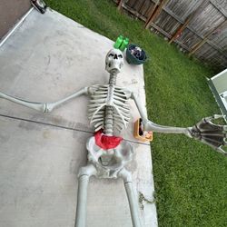 8 Foot Skeleton for Halloween