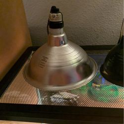Basking Lamp With Light