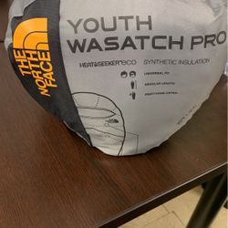 North Face Sleeping Bag 