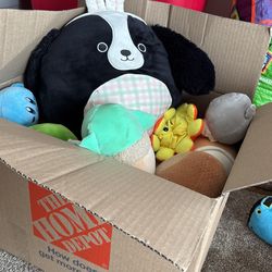 Box Of Squishmallows 