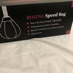 Boxing Speed bag 